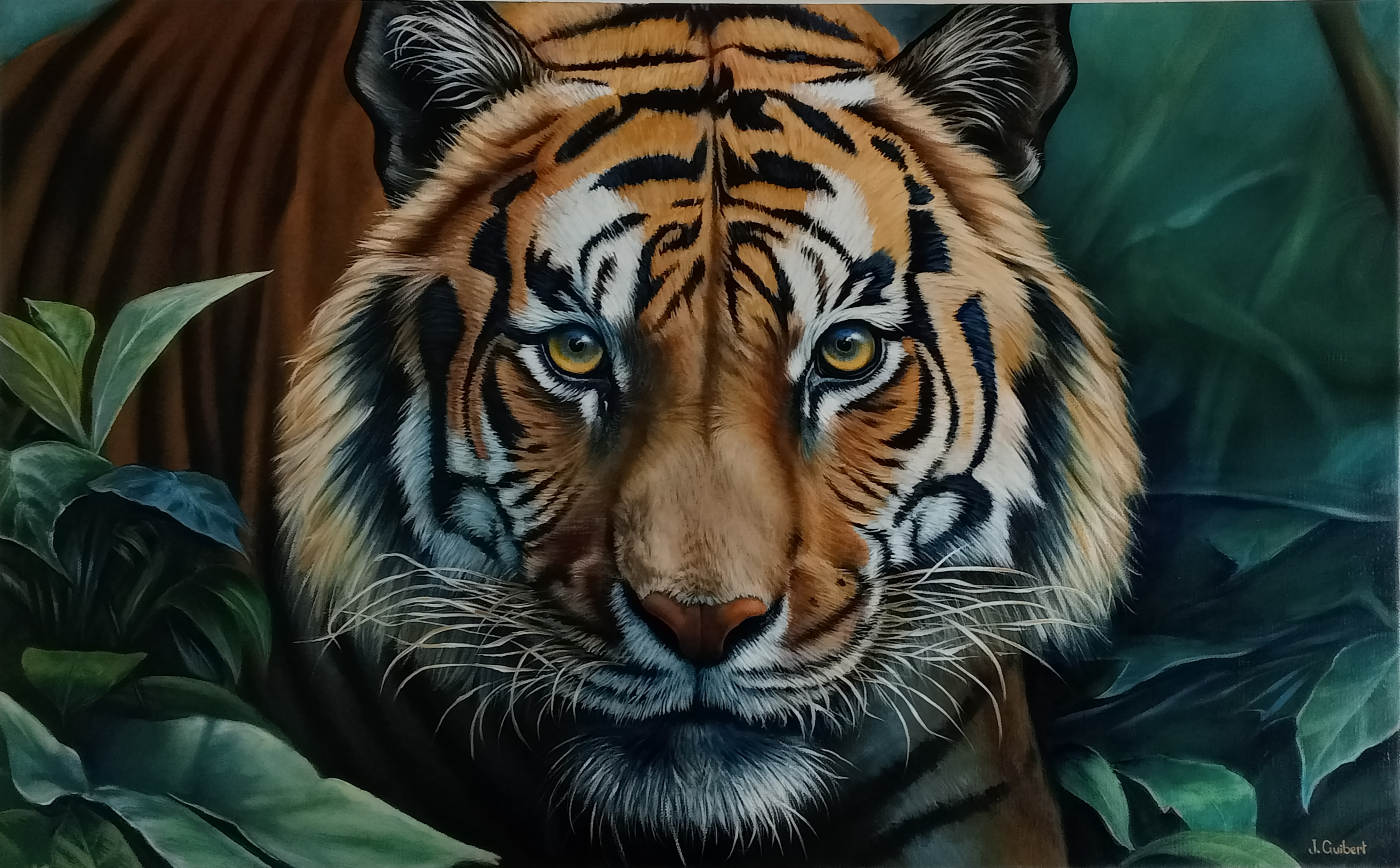 tigre